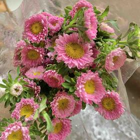 粉色小蜜菊5枝一扎