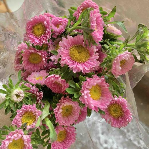 粉色小蜜菊5枝一扎 商品图0