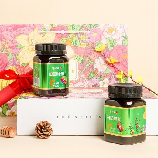 【蜂蜜礼盒】等蜂来蜂蜜礼盒  田园蜜500g*2繁花礼盒 商品图3
