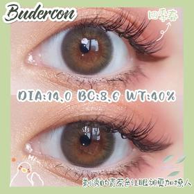 Budercon 四季春 14.0mm【棕绿色】美瞳