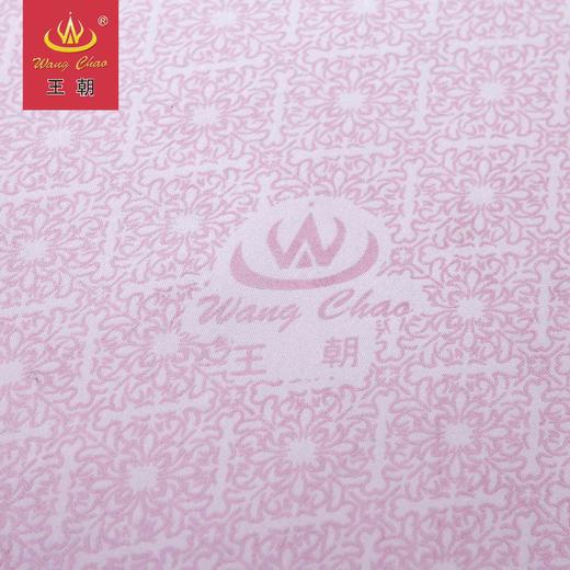 王朝家纺舒适春秋夏凉被 商品图2