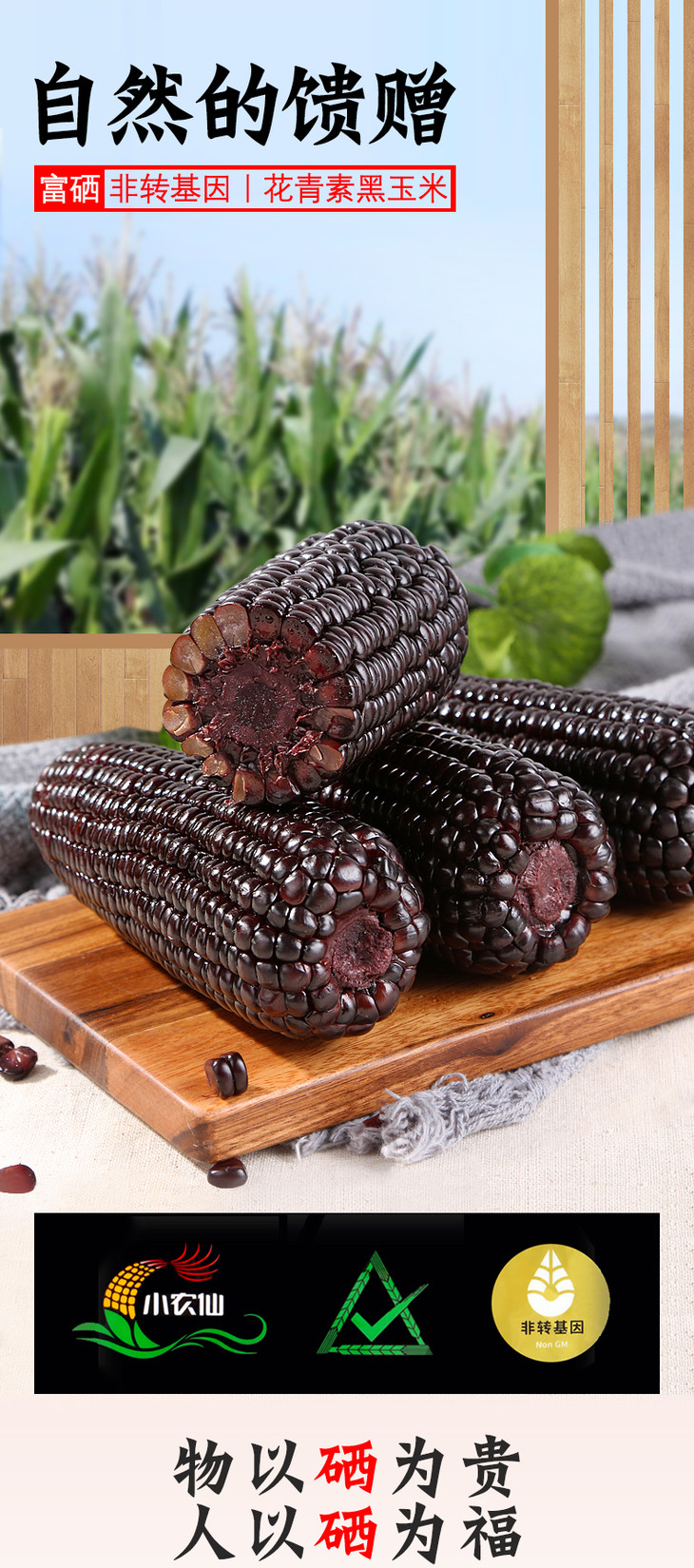 小农仙富硒黑玉米10支箱独立包装富含花青素速食糯玉米