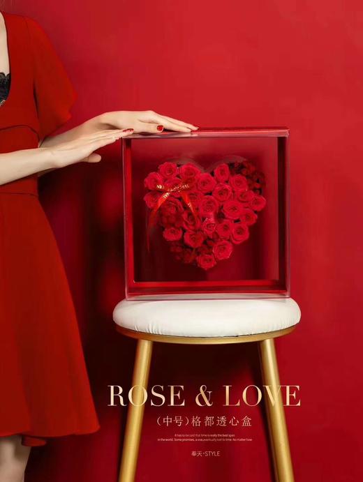 格都透心盒（中号） 商品图0