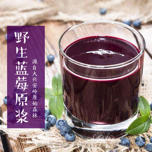 亿大力  野生蓝莓原浆 大兴安岭特产 原果汁含量≥80%   4斤装 商品图1