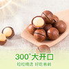 百亿补贴【百草味-夏威夷果100gX5袋】JPY带授权招加盟代理 商品缩略图3