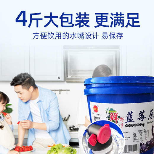亿大力  野生蓝莓原浆 大兴安岭特产 原果汁含量≥80%   4斤装 商品图2