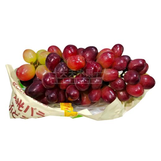 阳光玫瑰大红提 弥乳红提