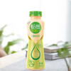 伊利畅意100%乳酸菌饮料原味320ml*15瓶整箱益生菌牛奶饮品批发JPY带授权招加盟代理 商品缩略图2