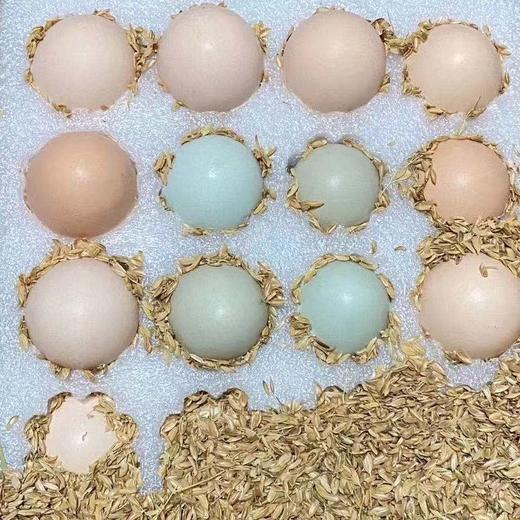 深山农家散养生态土鸡蛋 40枚 商品图6