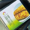 【西双版纳香糯小玉米】9-10根/箱，独立包装，香，甜，糯 商品缩略图5