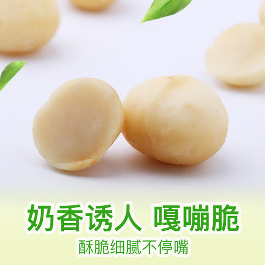 满减【百草味-夏威夷果仁56g】坚果干果仁炒货休闲零食特产JPY带授权招加盟代理 商品图3