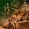 新长福冬虫夏草高档礼盒装100G 约210根 西藏那曲野生虫草 商品缩略图0