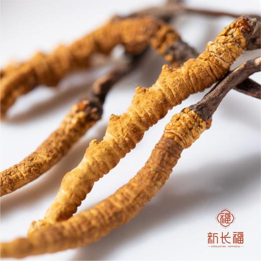 新长福冬虫夏草高档礼盒装100G 约210根 西藏那曲野生虫草 商品图2