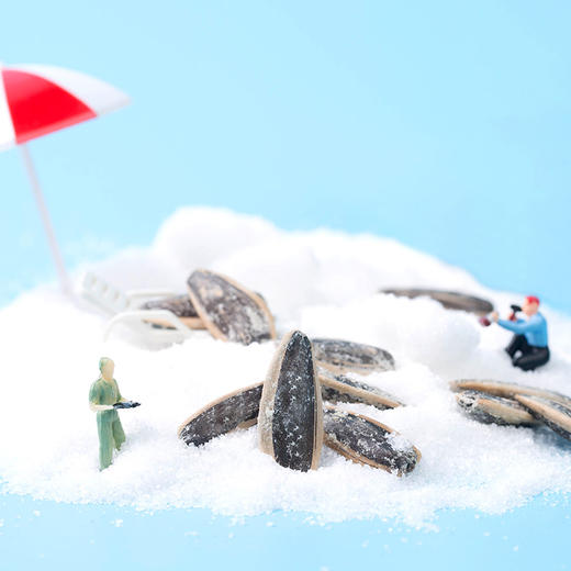 洽洽瓜子海盐味葵花籽108g 商品图2