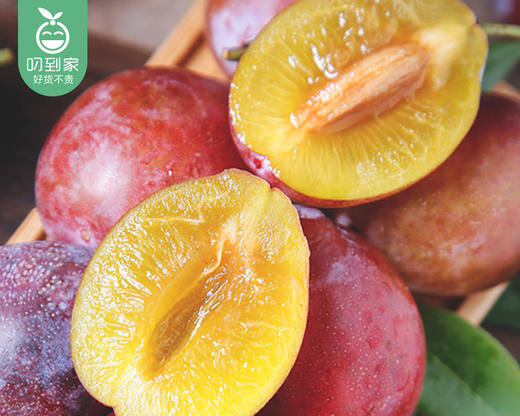 新疆法兰西西梅（中大果）/1盒（约450g） 商品图1