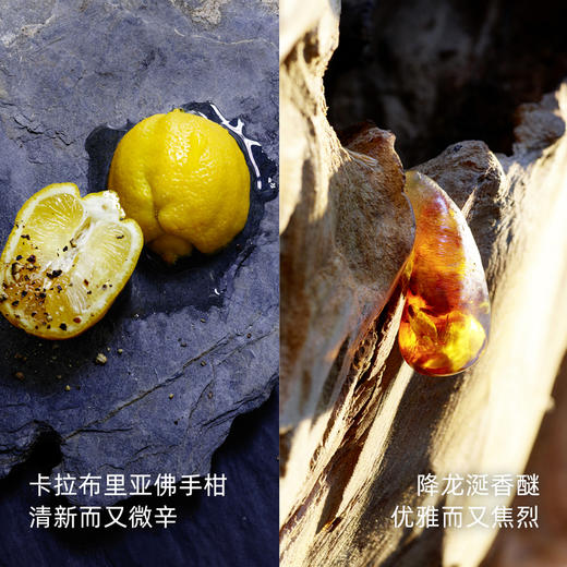 Dior迪奥旷野男士淡香氛经典男士淡香水浓香60ml/100ml 商品图2