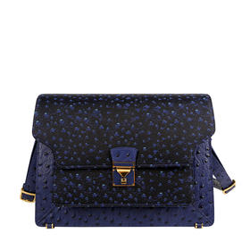 SAINTJOY/上久楷宋锦拎包 新品鸵鸟纹两色6款可选（蓝色中包无货）