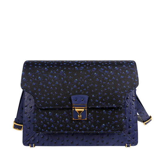 SAINTJOY/上久楷宋锦拎包 新品鸵鸟纹两色6款可选（蓝色中包无货） 商品图0