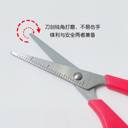 美国Tiny Bites 婴儿辅食剪 两支装 宝宝辅食剪刀儿童食物剪不锈钢研磨餐具 商品图6