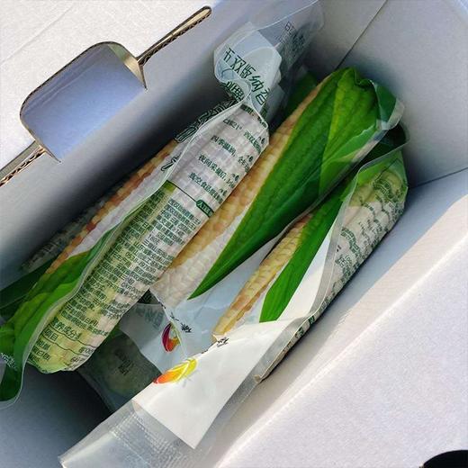 【西双版纳香糯小玉米】9-10根/箱，独立包装，香，甜，糯 商品图6