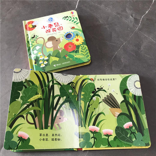 尤斯伯恩躲猫猫故事翻翻书：小老鼠，逛花园 商品图2