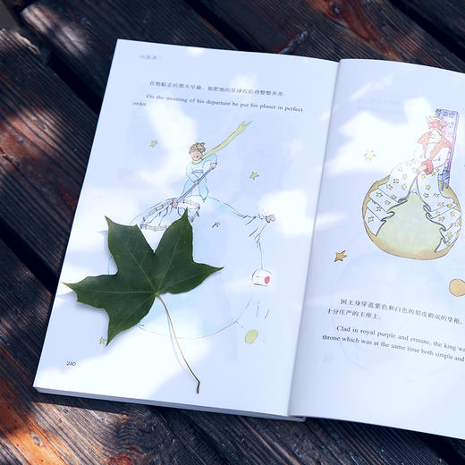 小王子（中英双语）/世界经典文学名著 [The Little Prince] 商品图3