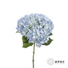 绣球 | 浅蓝 商品缩略图0