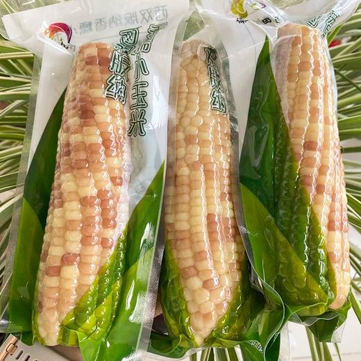 【西双版纳香糯小玉米】9-10根/箱，独立包装，香，甜，糯 商品图0