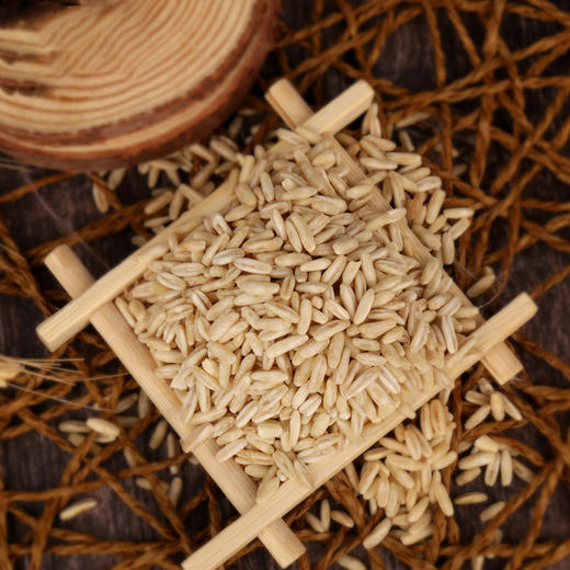 高原燕麦胚芽米， 边煮边发芽 商品图5