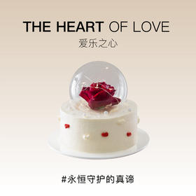 爱乐之心一鲜奶动物奶油蛋糕