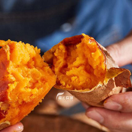 【下单后48小时左右发货】云南 高原 甜糯红薯6斤装左右 商品图3