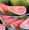 【小仙女百搭SS神果红心草莓芭乐】，硬吃香脆，软吃浓甜。吃起来像梨又像桃子·自带酸梅粉，蘸着更好吃～yami～～～ 商品缩略图7
