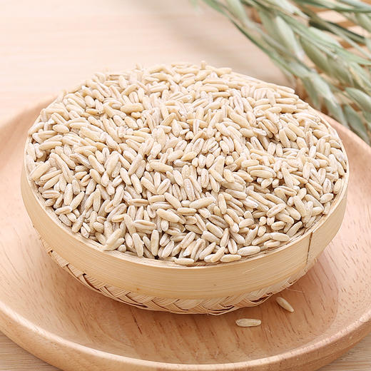 高原燕麦胚芽米， 边煮边发芽 商品图1