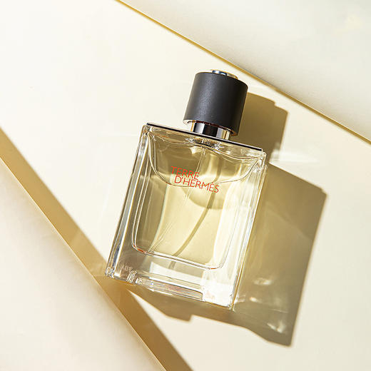 Hermes/爱马仕大地淡香水男50ml男士香水木质香 送香水礼品袋【CDF】 商品图0
