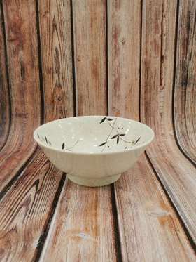 5F 石村瓷器 进口大碗120-114