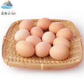 临安高山土鸡蛋浙江省示范农场每月抽检30只/ 箱