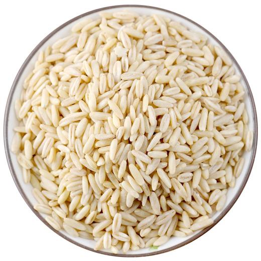 高原燕麦胚芽米， 边煮边发芽 商品图6
