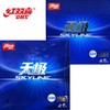 DHS红双喜 蓝海绵省套天极2/天极3粘性乒乓球反胶套胶正品 商品缩略图0