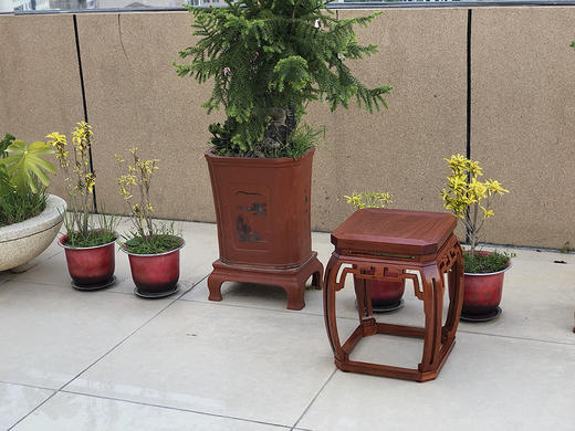 红桥红  家具严选  缅甸花梨（大果紫檀）  【35 仿故宫文竹 方凳】 商品图3