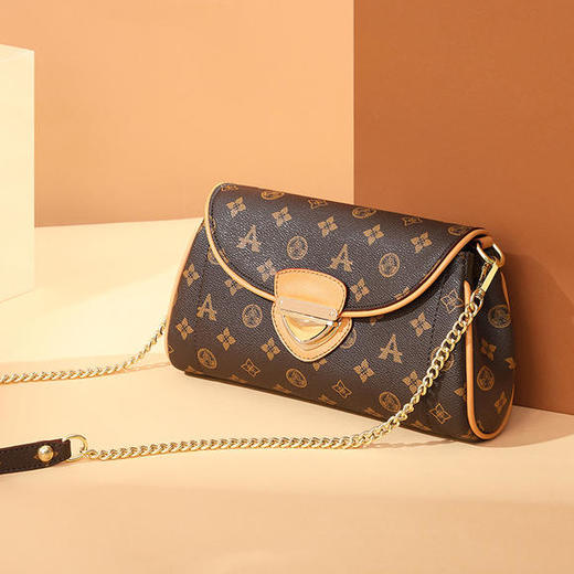 LW-HFN6830-1新款复古经典印花链条单肩斜跨包包 商品图2