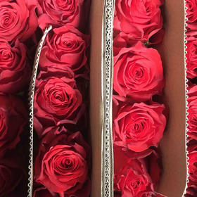 玫瑰 传奇 c级60cm