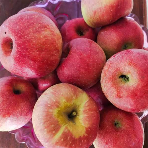云南昭通 野生小苹果(红露)2.0kg/箱