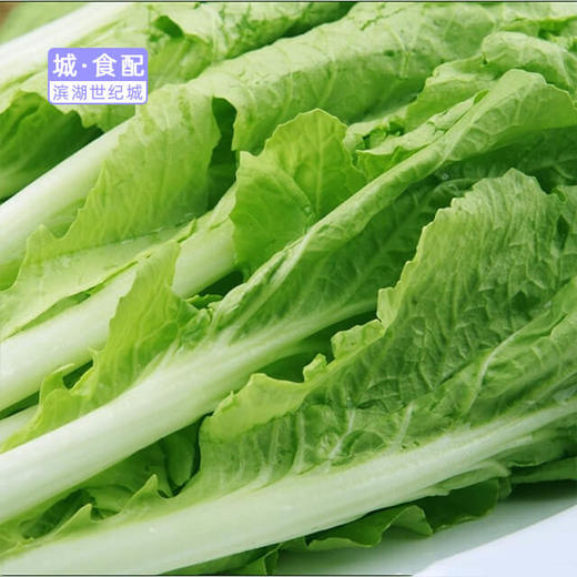 bhlh城食配毛白菜约500g