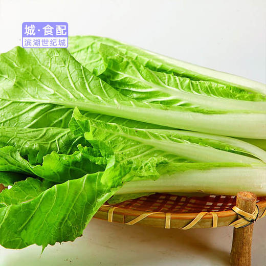 bhlh城食配毛白菜约500g