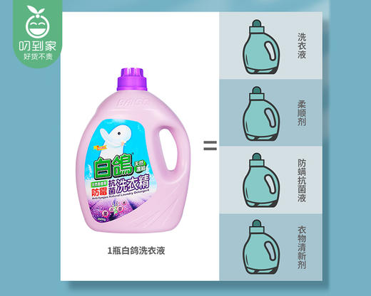 台湾白鸽防霉抗菌洗衣液-薰衣草香（3500g*4瓶/箱） 商品图2