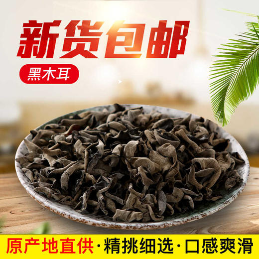 东北延边精品黑木耳拍一发二【包邮】 商品图0