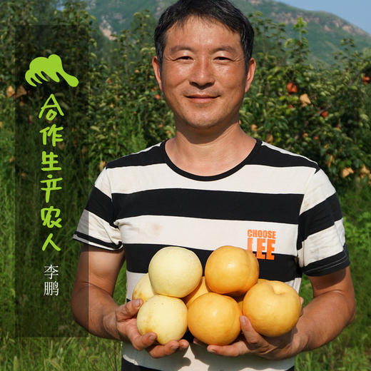 有机圆黄梨（中通） | 合作生产 *Organic Yuanghuang pear | Coproduction 商品图1