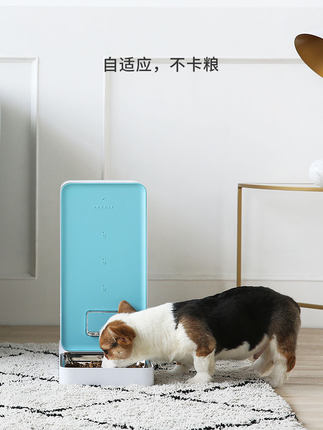 小佩 智能喂食器