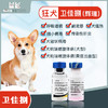 犬用疫苗卫佳捌（单针） 商品缩略图1