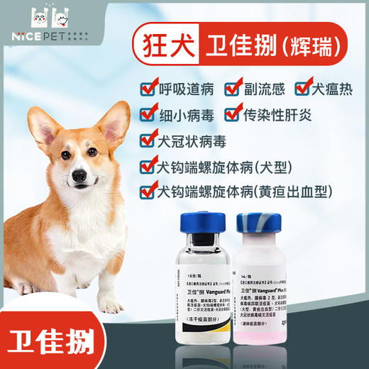 犬用疫苗卫佳捌（单针） 商品图1